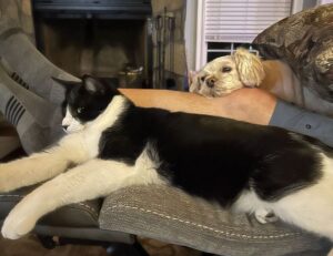 010000000000000000000000600188