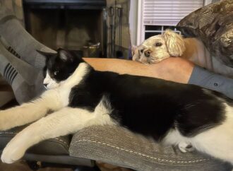 010000000000000000000000600188