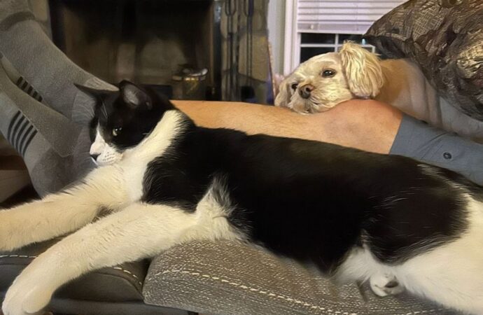 010000000000000000000000600188