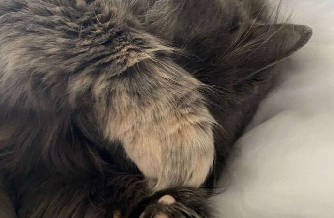 010000000000000000000000600188