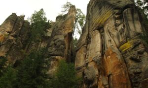 antivirus freedoor2.4.6.8