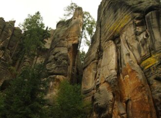 antivirus freedoor2.4.6.8