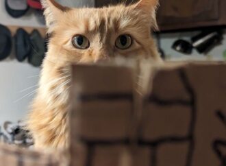 can i get susbluezilla