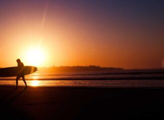 bass pro check gift card balance