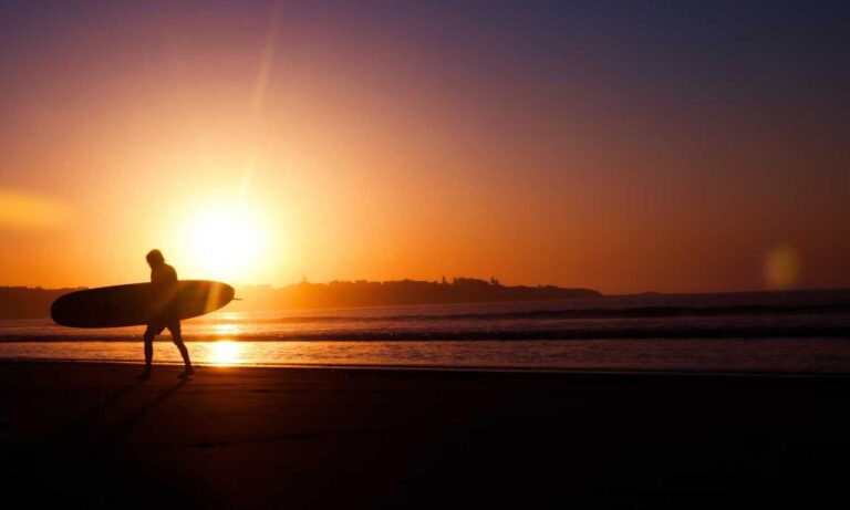 bass pro check gift card balance