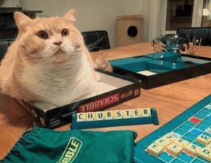 biography verena king boxleitner age difference