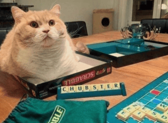 biography verena king boxleitner age difference