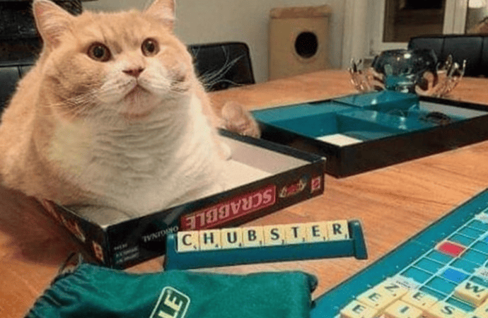 biography verena king boxleitner age difference