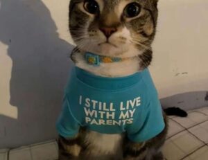 book order court of thorns and roses