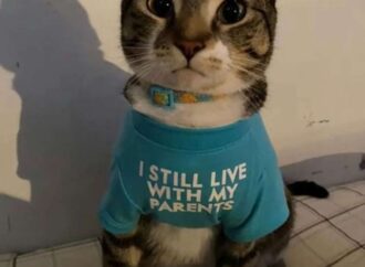 book order court of thorns and roses