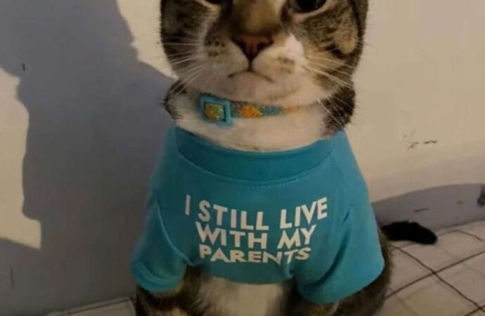 book order court of thorns and roses