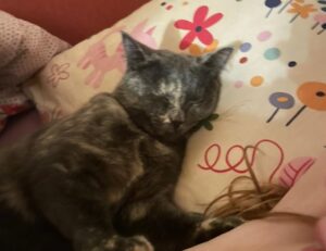 boy haircut long on top short on sides