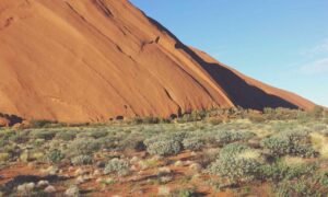 boy haircuts short on sides longer on top