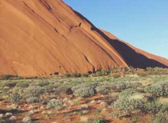 boy haircuts short on sides longer on top