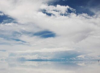 boy haircuts short sides long top