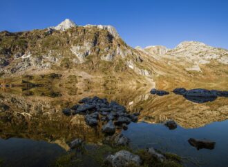 caso cerrado 6 year old twins