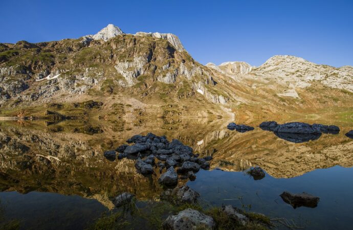 caso cerrado 6 year old twins