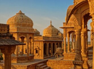 cat flops in front of me