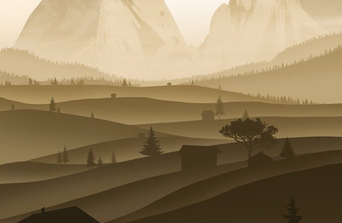 cedar cares charge on credit card