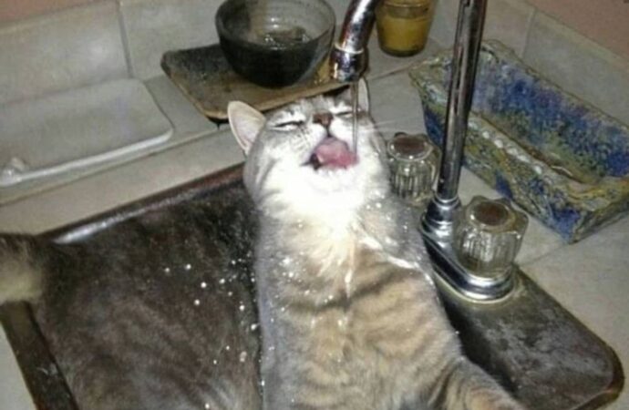 childcare education institute final exam answers