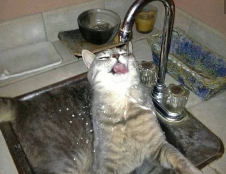 childcare education institute final exam answers