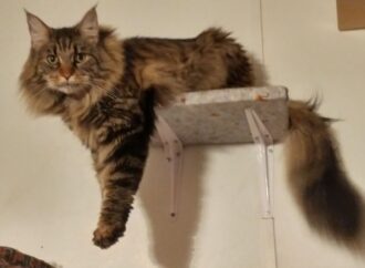 choppy layers low maintenance choppy shaggy shoulder length hair