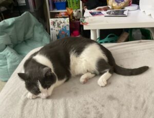 chrisley knows best daughter dies in real life