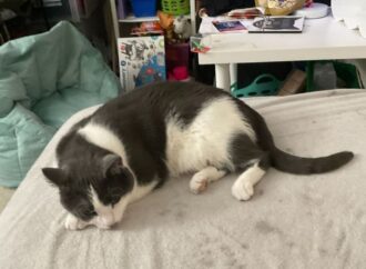 chrisley knows best daughter dies in real life