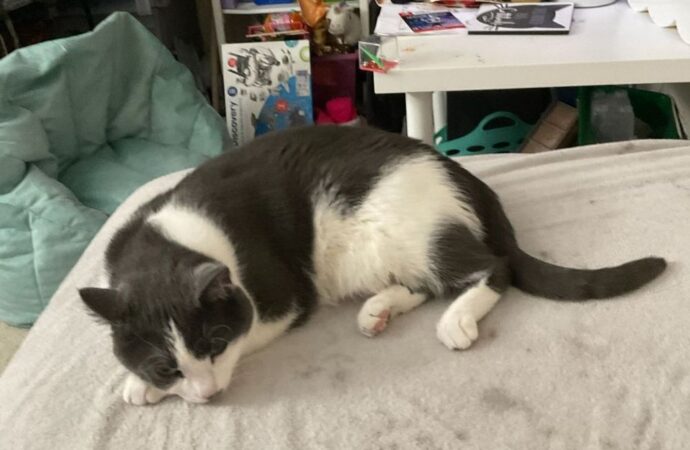 chrisley knows best daughter dies in real life