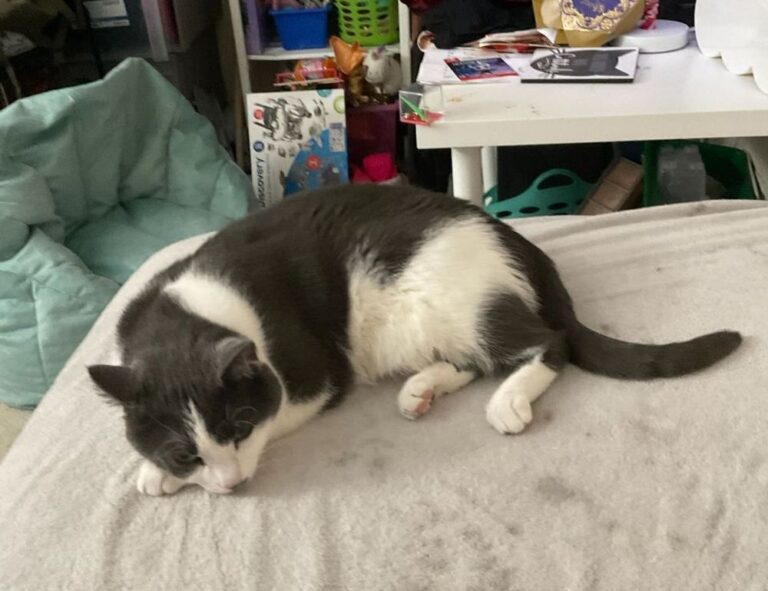 chrisley knows best daughter dies in real life