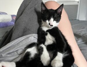 chronological order of rick riordan books