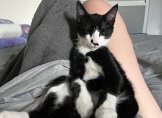 chronological order of rick riordan books