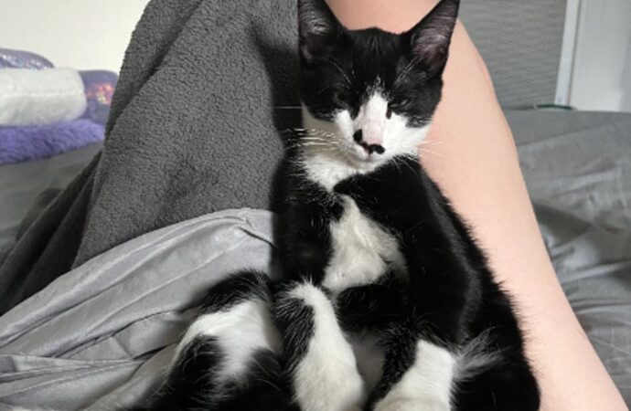 chronological order of rick riordan books