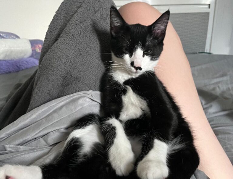 chronological order of rick riordan books