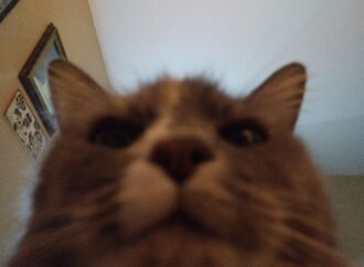 clear liquid coming out of bump