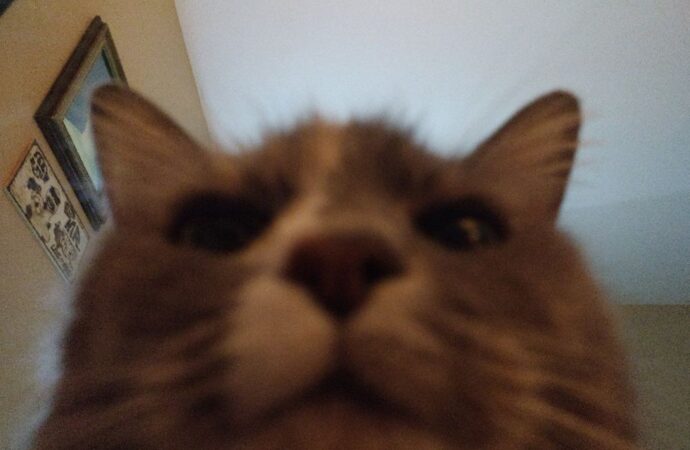 clear liquid coming out of bump