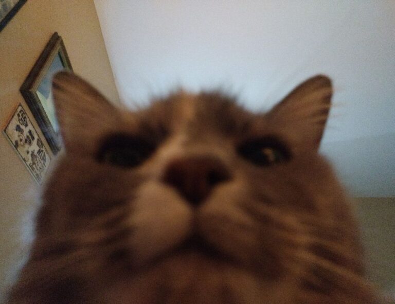 clear liquid coming out of bump