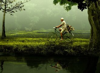 clear liquid coming out of popped pimple