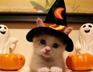 digitalrgsorg gaming world