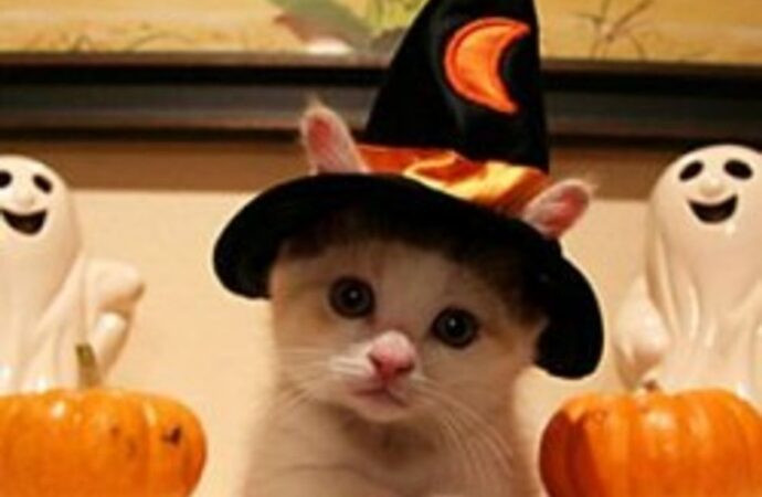 digitalrgsorg gaming world