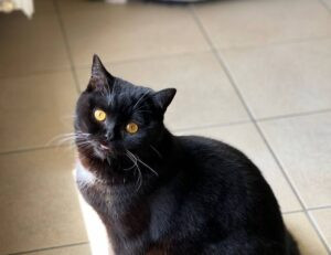 game news digitalrgsorg