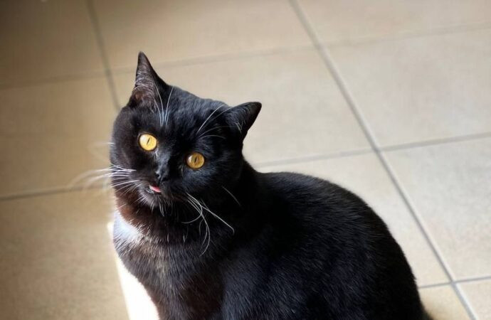 game news digitalrgsorg