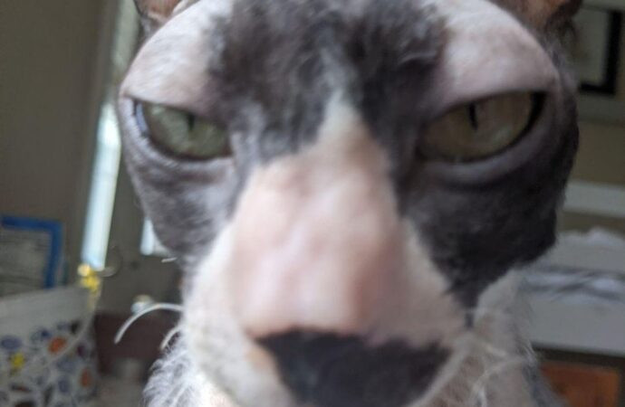 gaming world digitalrgsorg