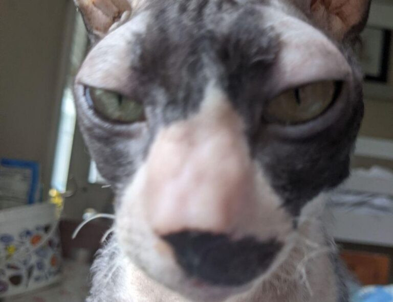 gaming world digitalrgsorg