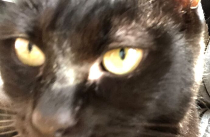 tech news digitalrgsorg