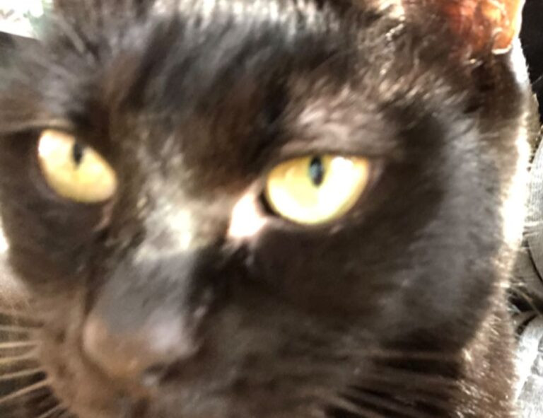 tech news digitalrgsorg