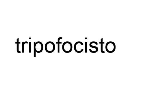 tripofocisto