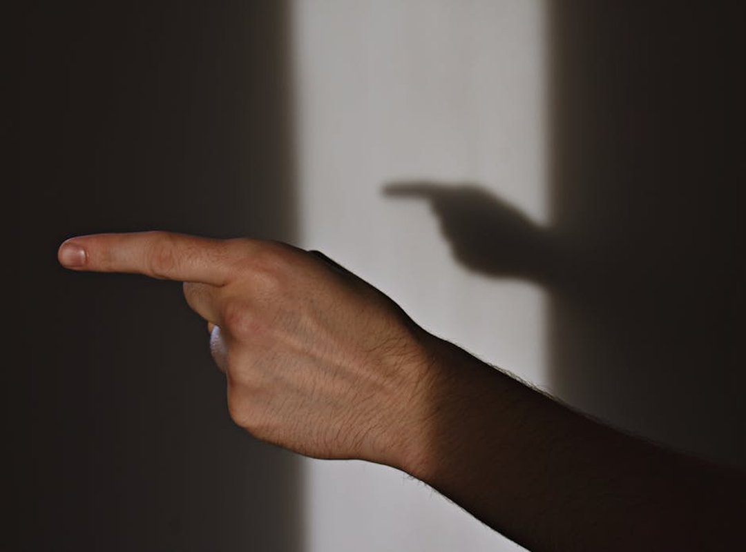 Can Popguroll Play Together