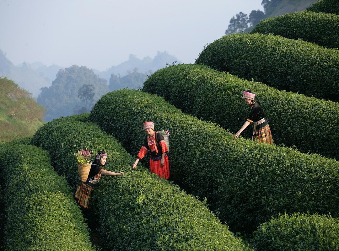 Can You See What I See on Popguroll Game Pc