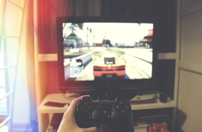 Difference Between Gamer And Player Tportesports